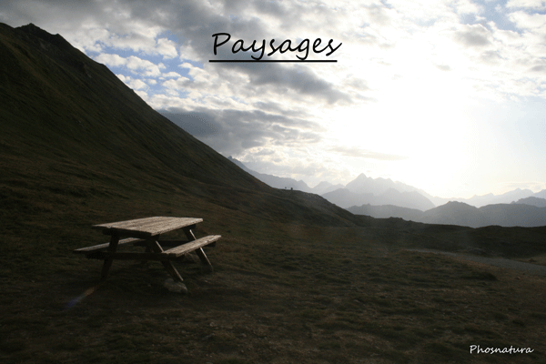 Col du Palet