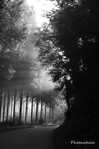 Paysage Normand